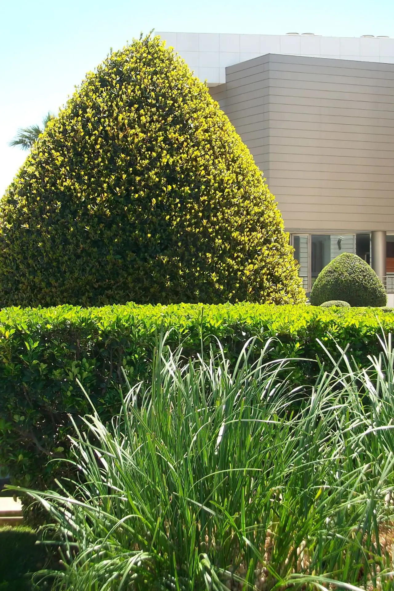 Επικοινωνία - Το Φύλλο