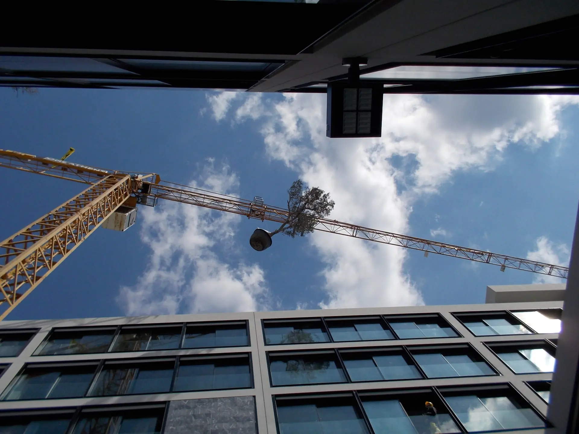 Κατασκευές - Το Φύλλο