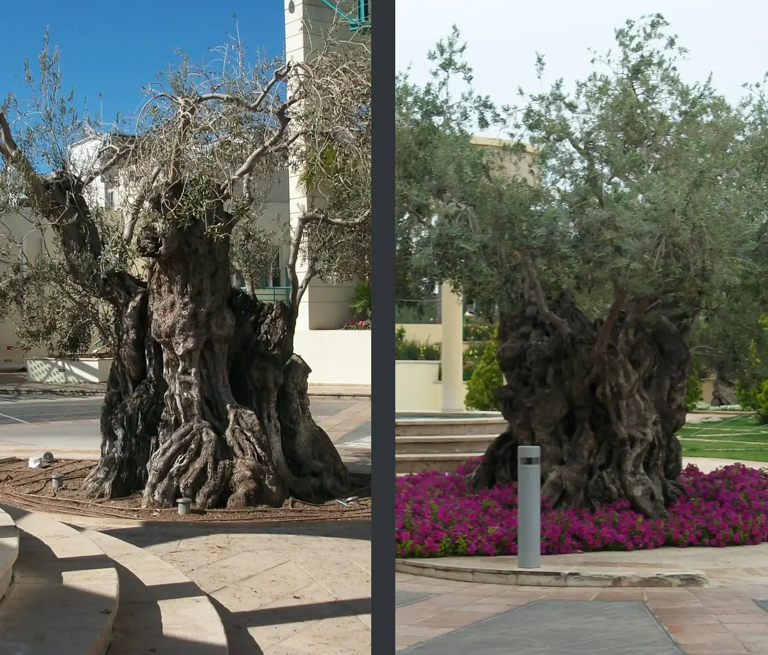 Πριν και μετά.... - Gallery - Το Φύλλο