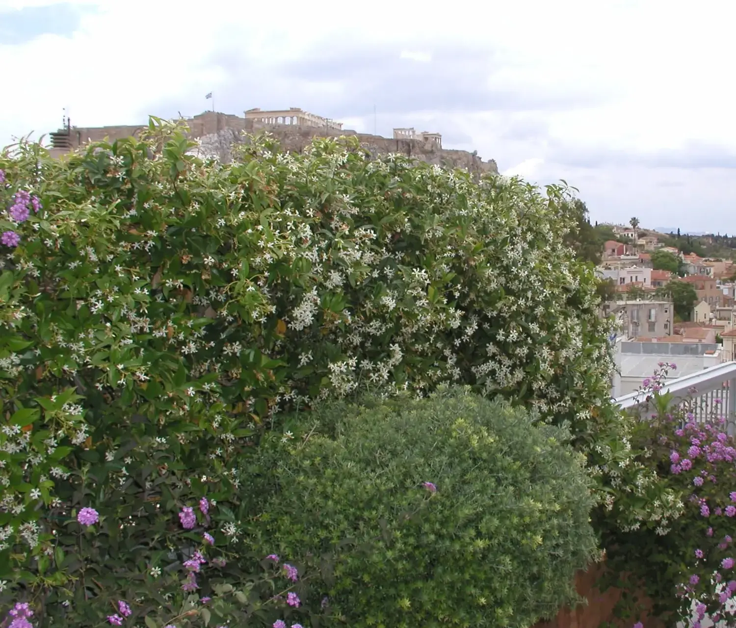 Βεράντα - Ταρατσόκηπος - Gallery - Το Φύλλο