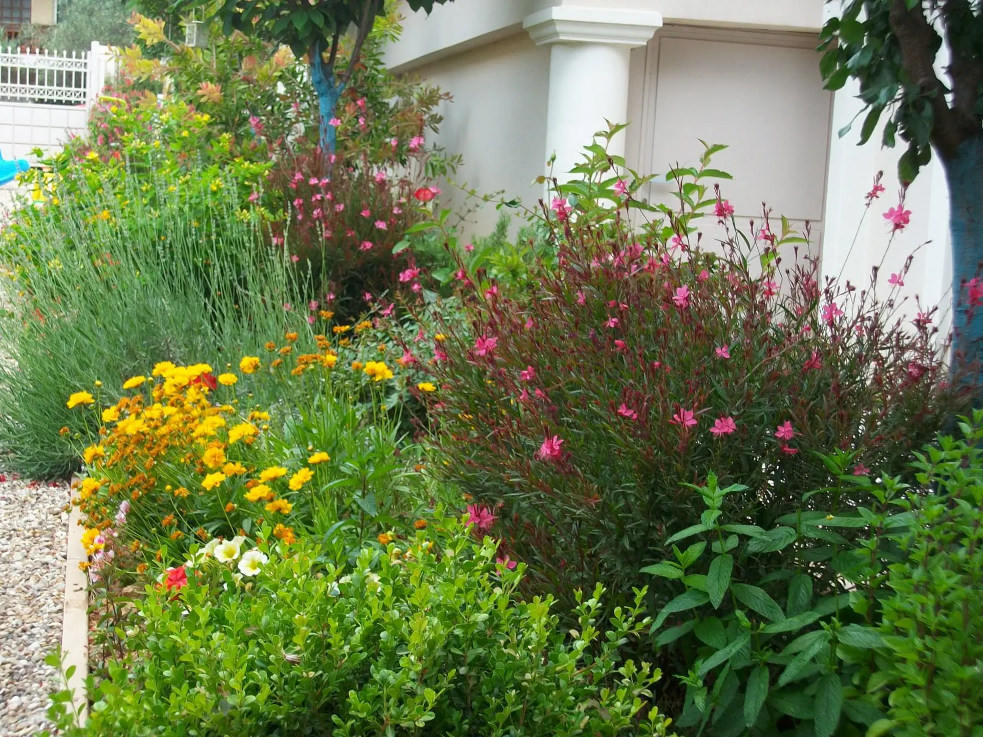 Συντήρηση - Το Φύλλο