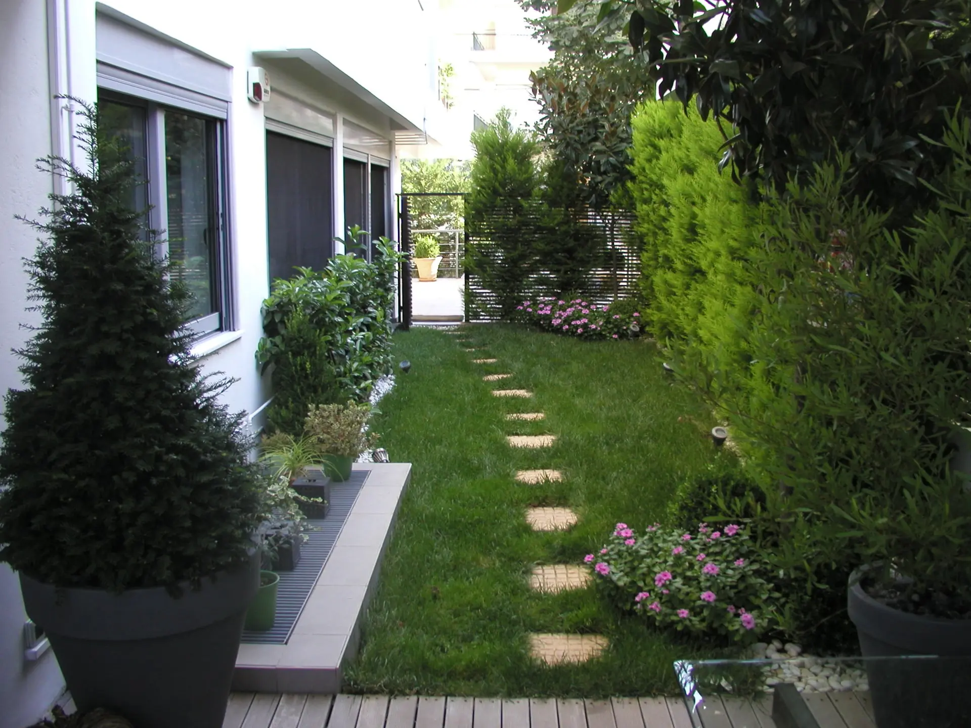 Συντήρηση - Το Φύλλο