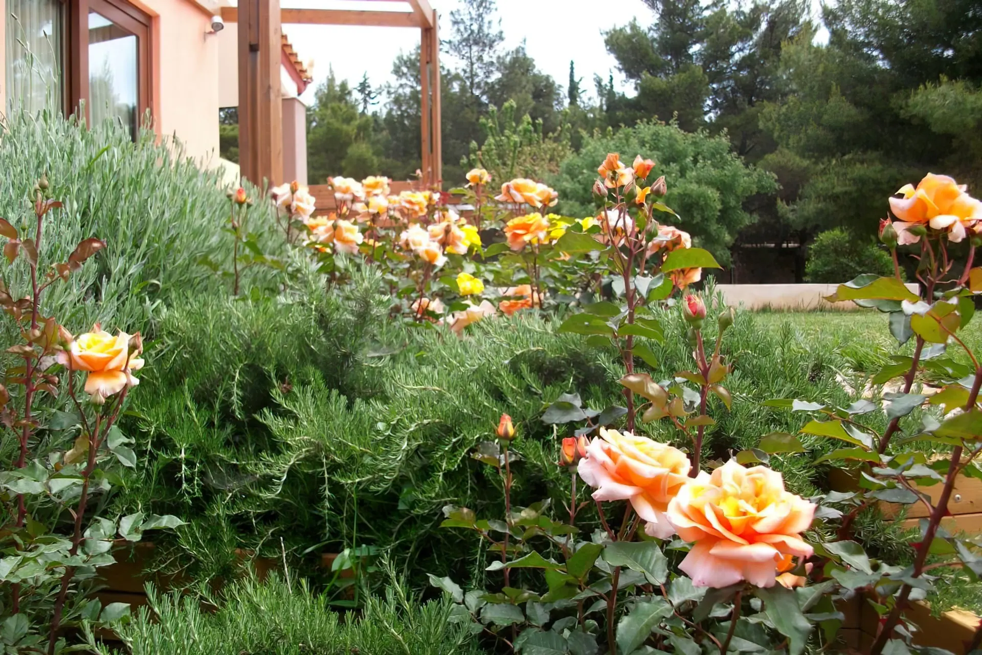 Συντήρηση - Το Φύλλο